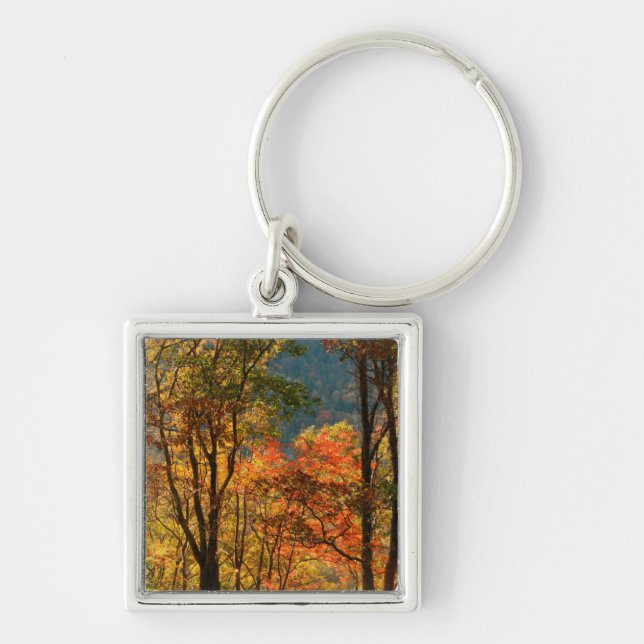 Porte-clés États-Unis, Tennessee. Feuillage d'automne (Devant)