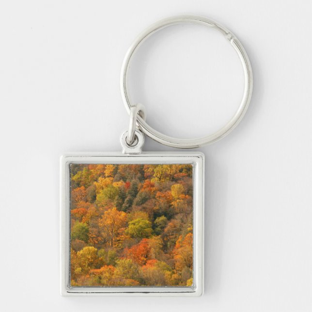 Porte-clés États-Unis, Tennessee. Feuillage d'automne 2 (Devant)