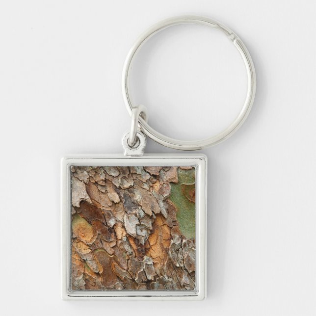 Porte-clés États-Unis, Tennessee, Gros Plan Sur Un Arbre (Devant)