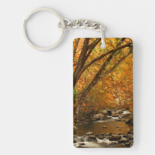 Porte-clés États-Unis, Tennessee. Rushing Mountain Creek 3