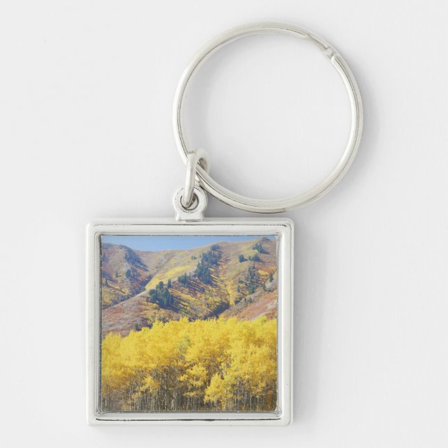 Porte-clés États-Unis, Utah, Forêt nationale de Wasatch-Cache (Devant)