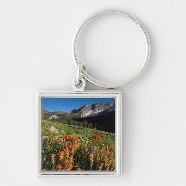 Porte-clés États-Unis, Utah, Forêt nationale d'Uinta-Wasatch- (Devant)