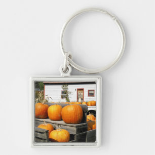 Porte-clés États-Unis, Vermont. Citrouilles