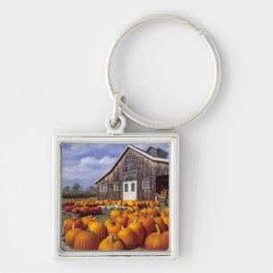 Porte-clés États-Unis, Vermont, Shelbourne, Citrouilles
