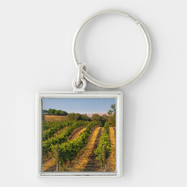 Porte-clés États-Unis, Washington oriental, vignobles Walla W (Devant)