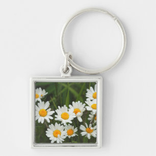 Porte-clés États-Unis, Washington, Seattle, Puget Sound 3