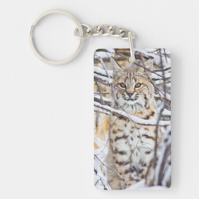 Porte-clés États-Unis, Wyoming, Bobcat (Devant)