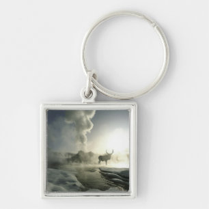 Porte-clés États-Unis, Wyoming, Parc national de Yellowstone.