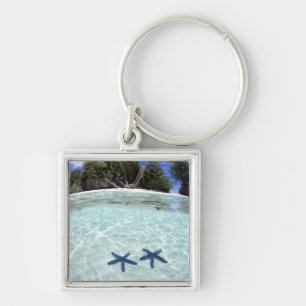Porte-clés Étoiles de mer, îles Rocheuses, Palaos 2