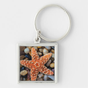 Porte-clés Étoiles de mer sur des roches