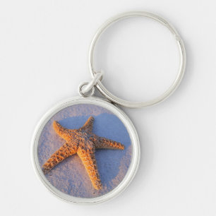 Porte-clés Étoiles de mer sur le sable blanc