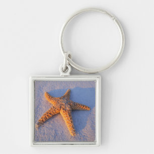 Porte-clés Étoiles de mer sur le sable blanc