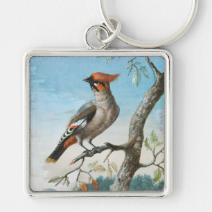 Porte-clés Étude d'oiseaux par George Edwards (1694-1773)