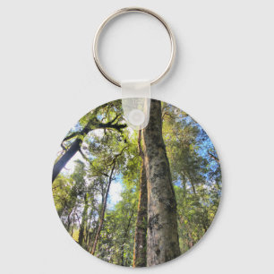 Porte-clés Eucalyptus gommiers de la forêt pluviale australie