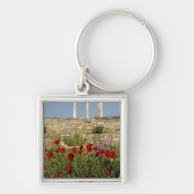 Porte-clés Europe, Grèce, Cyclades, Délos. Ruines de colonnes (Devant)