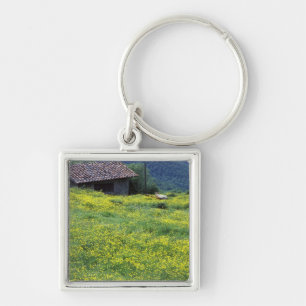 Porte-clés Europe, Italie, Toscane, Sienne, Chianti.