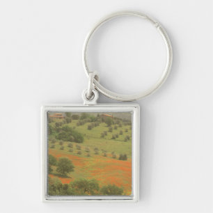 Porte-clés Europe, Italie, Toscane, Val D'Orcia, Mont