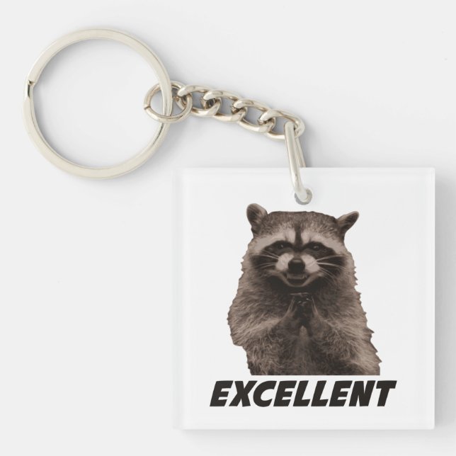 Porte-clés Excellent raton laveur mauvais de traçage (Devant)