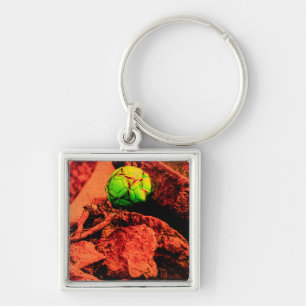 Porte-clés explorateur de moustiques