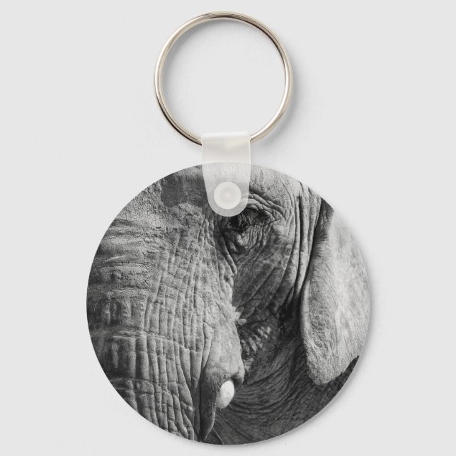 Porte-clés Eye Spy (Recto)