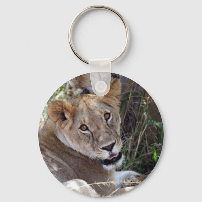 Porte-clés face de lion (Recto)