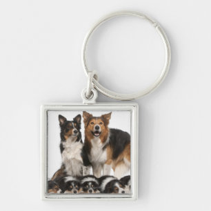 Porte-clés Famille de border collie