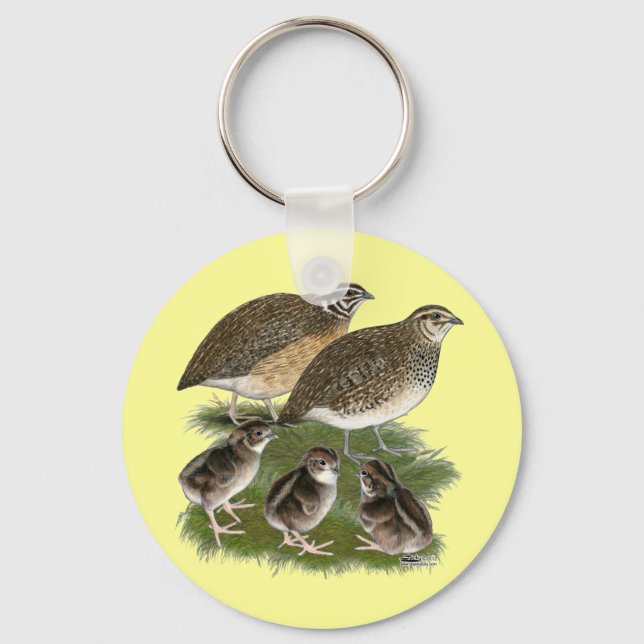Porte-clés Famille de Cailles Coturnix (Recto)