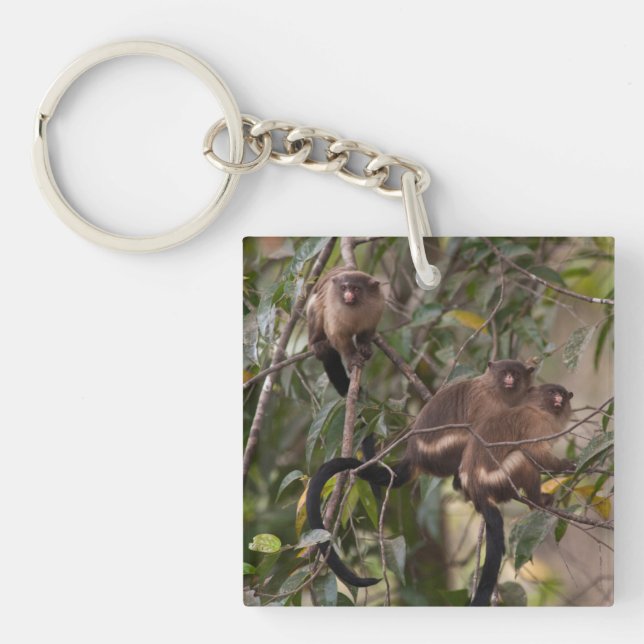 Porte-clés Famille de marmousets singes (Devant)