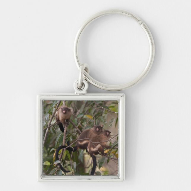 Porte-clés Famille de marmousets singes (Devant)