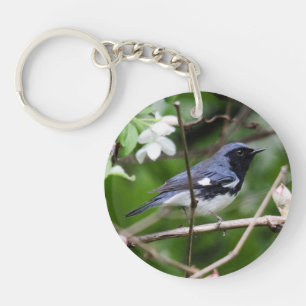 Porte-clés fauvette bleue Noir-throated