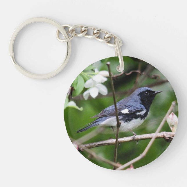 Porte-clés fauvette bleue Noir-throated (Devant)