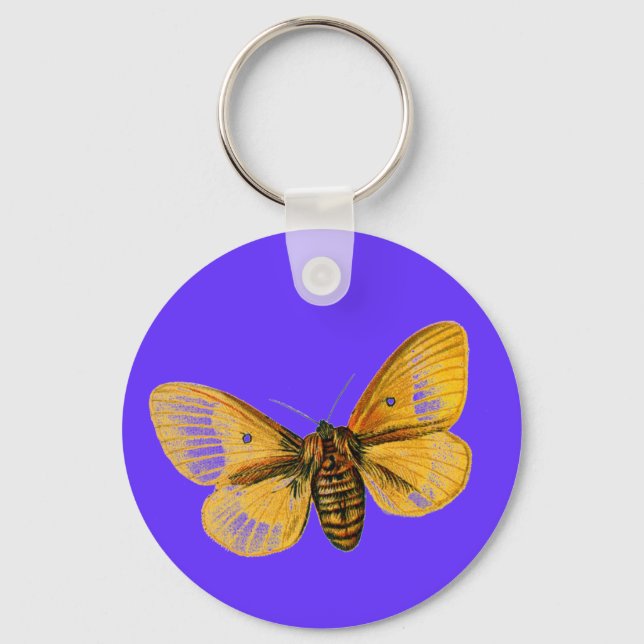 Porte-clés femelle de Bombyx quercus (Recto)