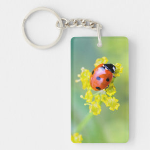 Porte-clés femme au sommet