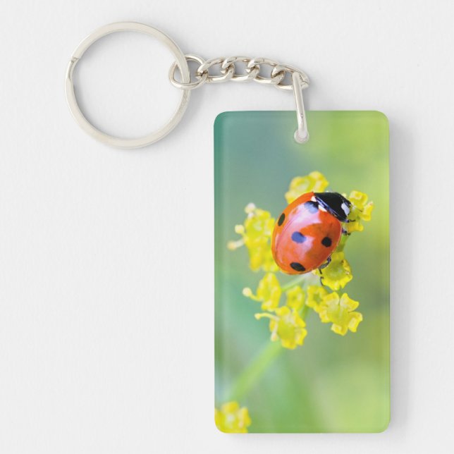 Porte-clés femme au sommet (Devant)