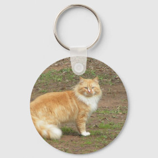 Porte-clés Fer chat orange et blanc