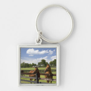 Porte-clés Ferme de chevaux pur-sang dans le comté de Marion,