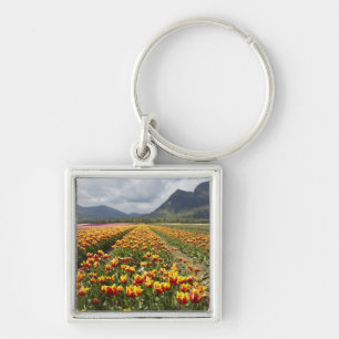 Porte-clés Ferme de tulipes près d'Agassiz, Colombie-Britanni
