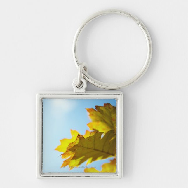 Porte-clés Fermez-vous du feuille jaune d'automne (Devant)