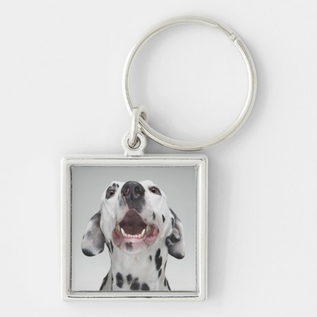 Porte-clés Fermez-vous d'un chien dalmatien (Devant)