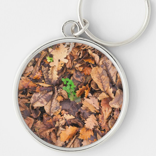 Porte-clés Feuille sec d'automne et trèfles verts (Devant)