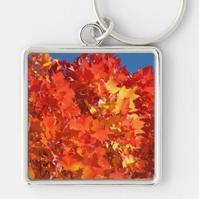Porte-clés Feuilles Brillantes Orange Automne (Devant)