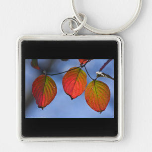 Porte-clés Feuilles d'automne colorées illuminées Trio