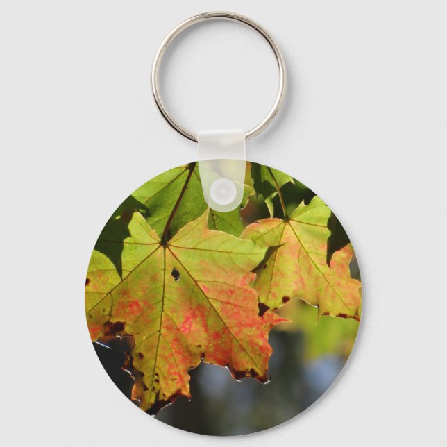 Porte-clés Feuilles de chute colorées (Recto)