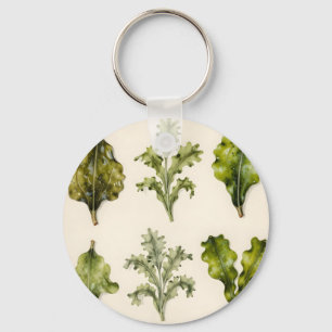 Porte-clés Feuilles de laitue vintage Herbier botanique Vert