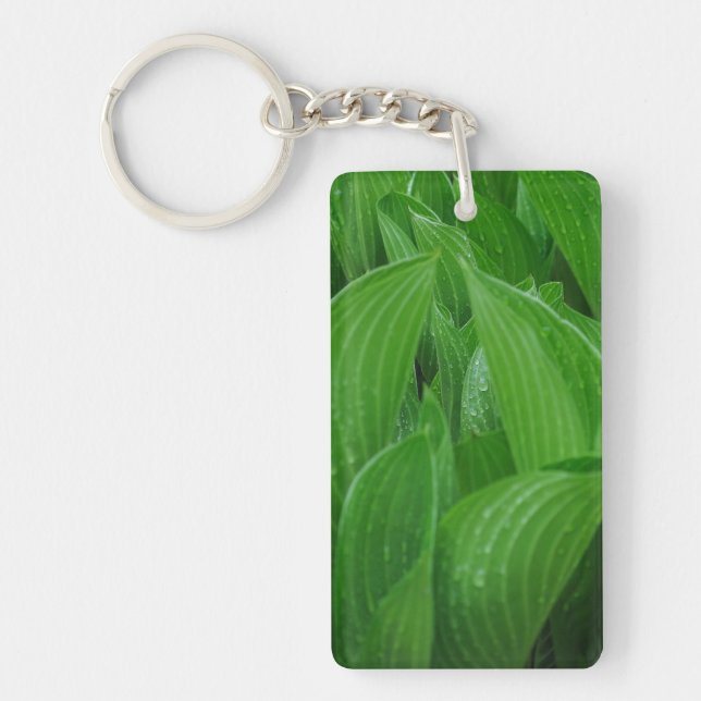 Porte-clés Feuilles Hosta avec Porte - clé acrylique Raindrop (Devant)