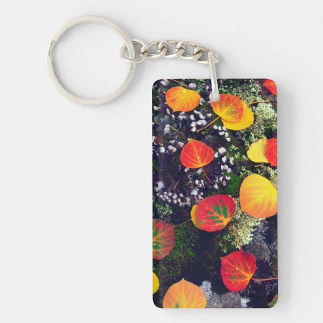 Porte-clés Feuilles sur un rocher recouvert de lichen, Montag (Devant)