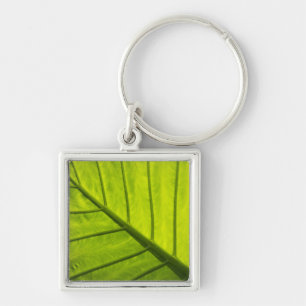 Porte-clés Feuilles vertes veinées de feuillage tropical en 2