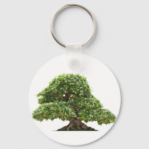 Porte-clés Ficus bonsai isolé