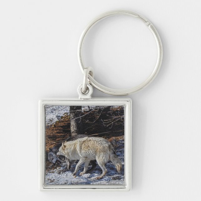 Porte-clés Fighting Grey Wolves Wildlife Photo Art (Devant)