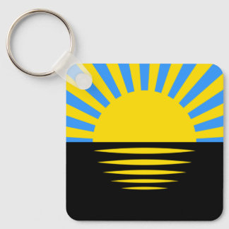 Porte-clés Flag of Donetsk Oblast